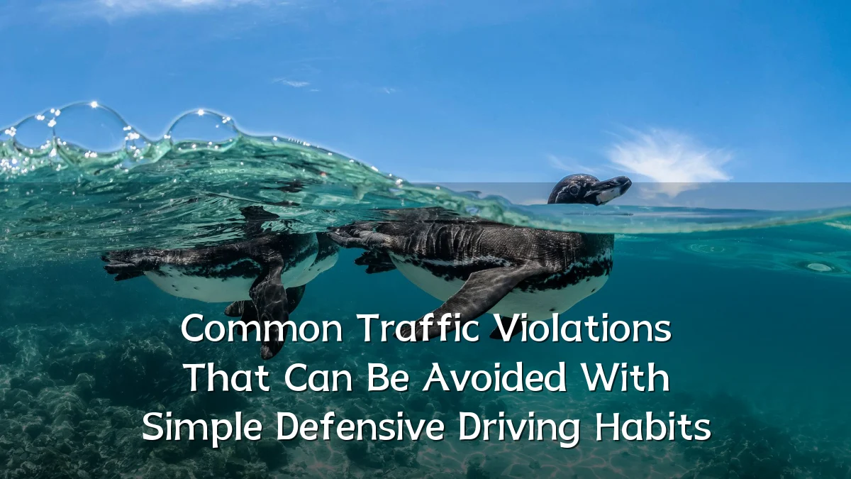 Common Traffic Violations That Can Be Avoided With Simple Defensive Driving Habits
