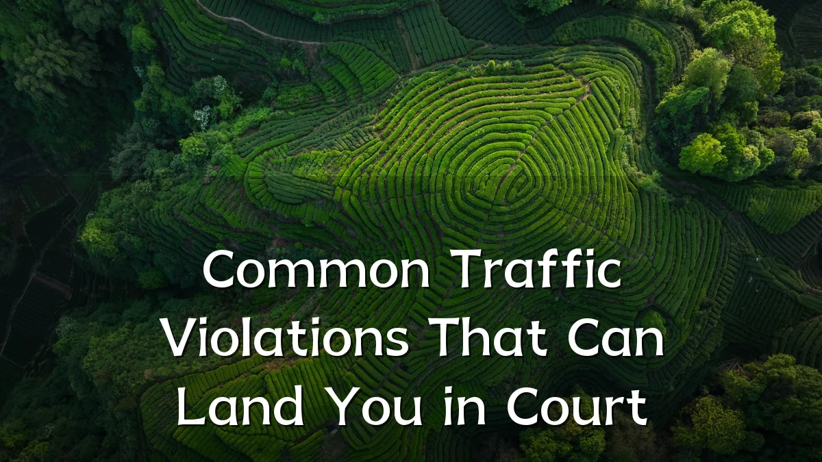 Common Traffic Violations That Can Land You in Court