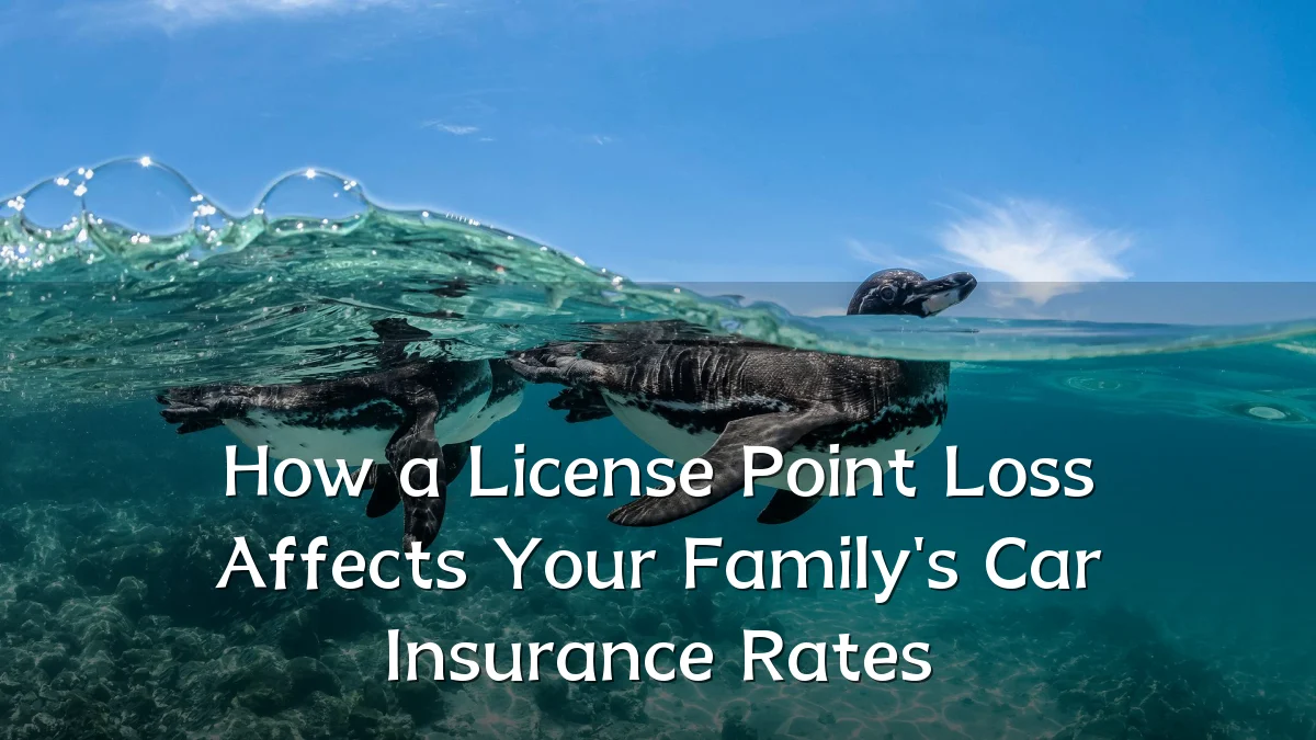How a License Point Loss Affects Your Family's Car Insurance Rates