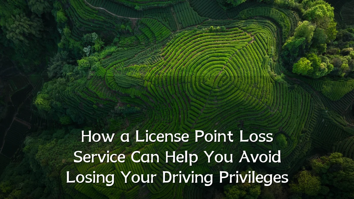 How a License Point Loss Service Can Help You Avoid Losing Your Driving Privileges