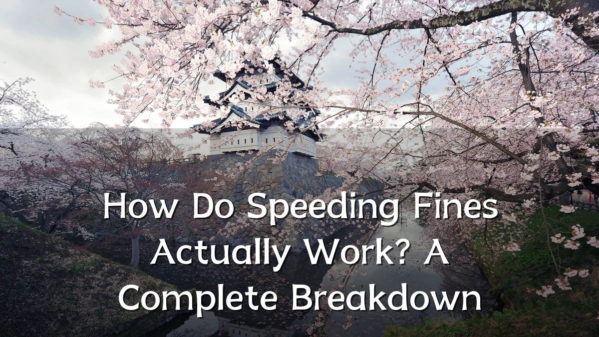 How Do Speeding Fines Actually Work? A Complete Breakdown