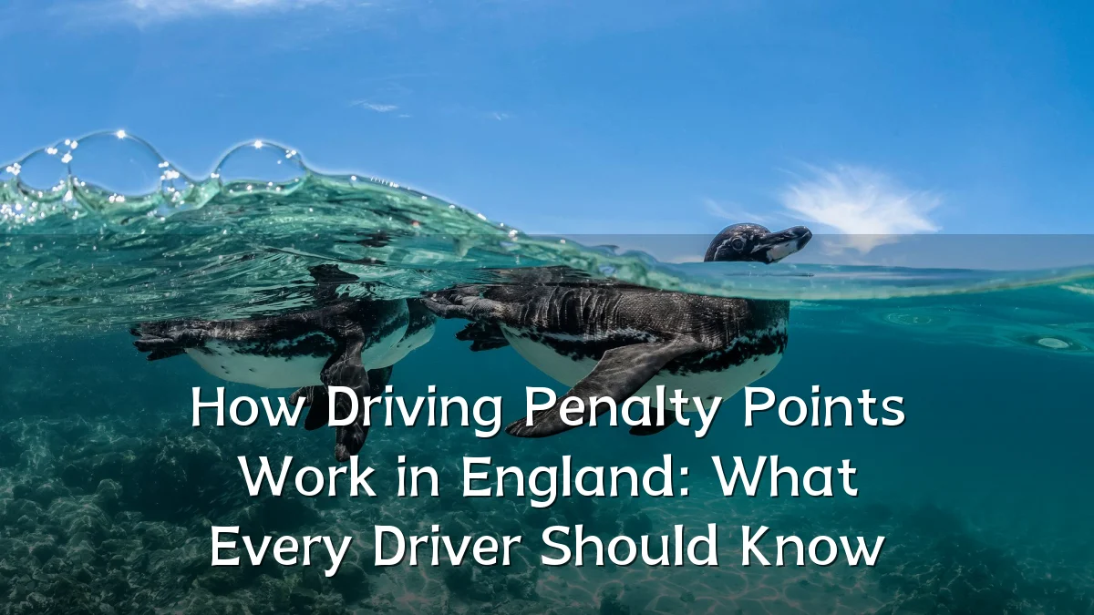 How Driving Penalty Points Work in England: What Every Driver Should Know