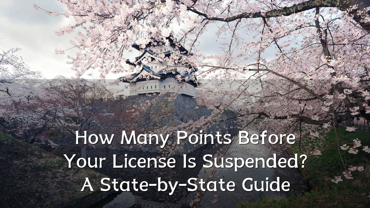 How Many Points Before Your License Is Suspended? A State-by-State Guide