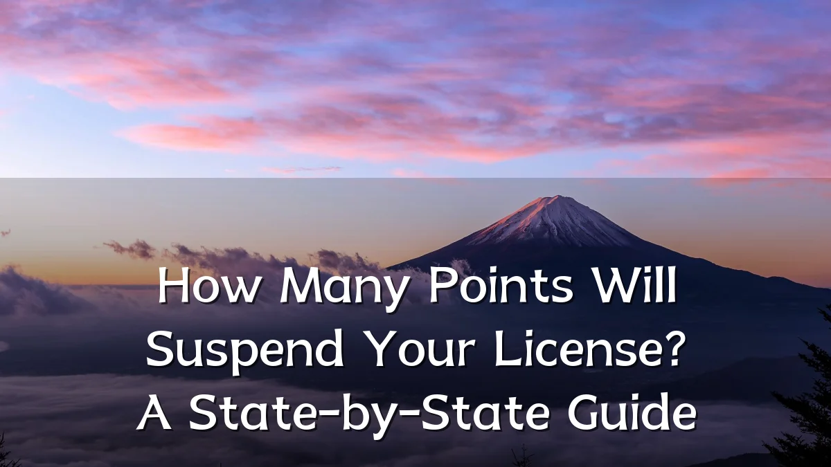 How Many Points Will Suspend Your License? A State-by-State Guide