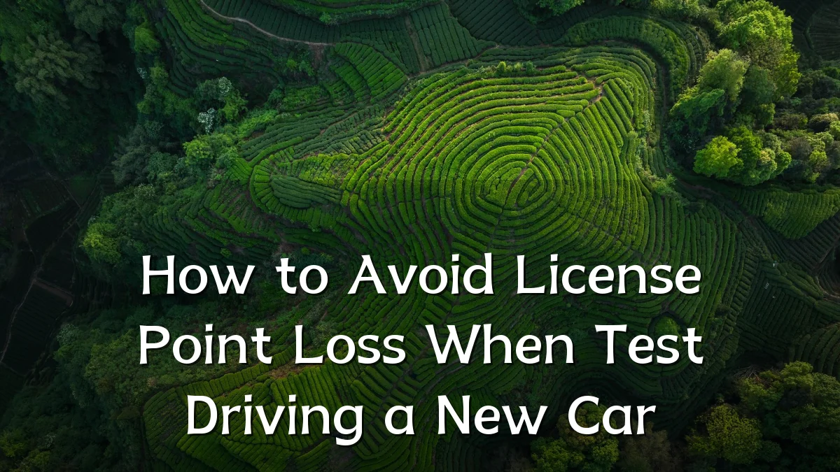 How to Avoid License Point Loss When Test Driving a New Car