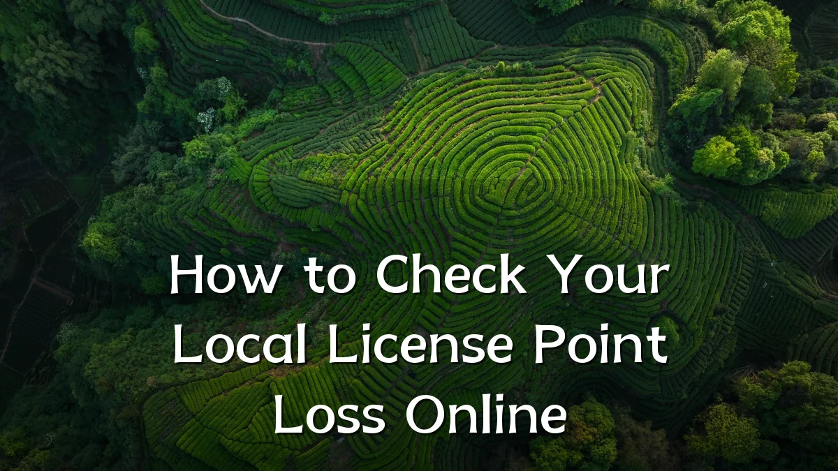 How to Check Your Local License Point Loss Online