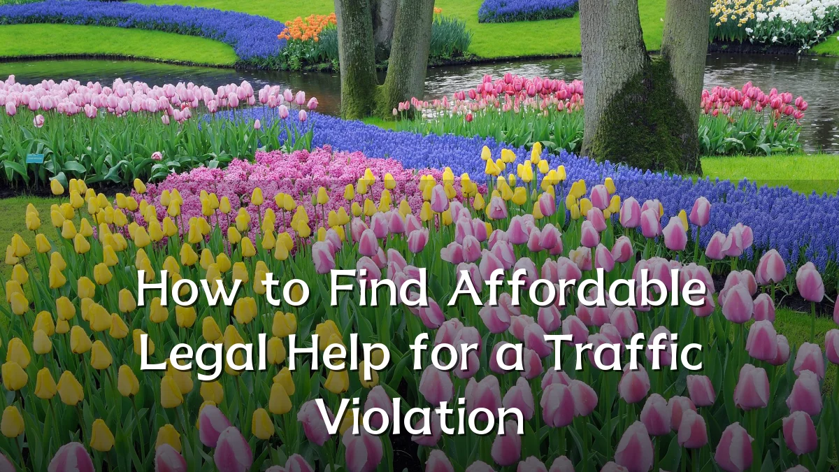 How to Find Affordable Legal Help for a Traffic Violation