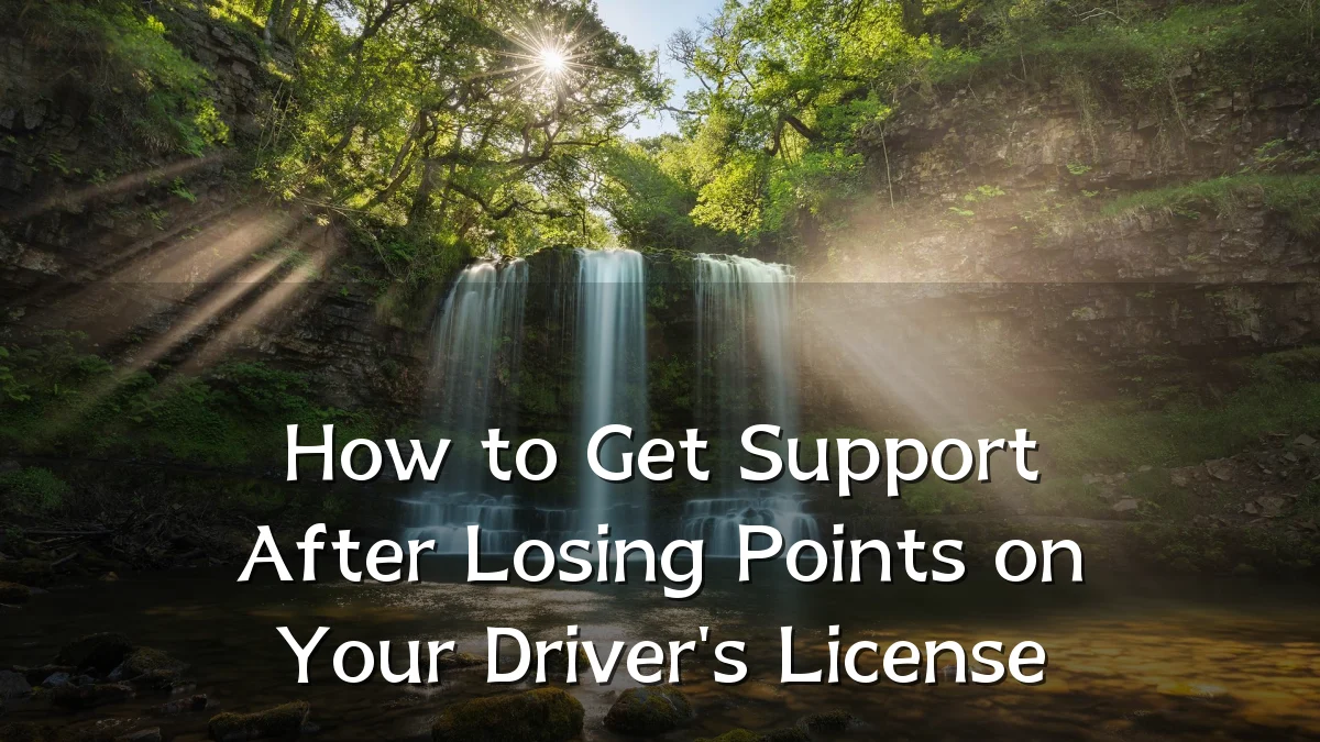 How to Get Support After Losing Points on Your Driver's License