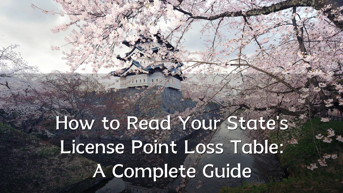 How to Read Your State's License Point Loss Table: A Complete Guide