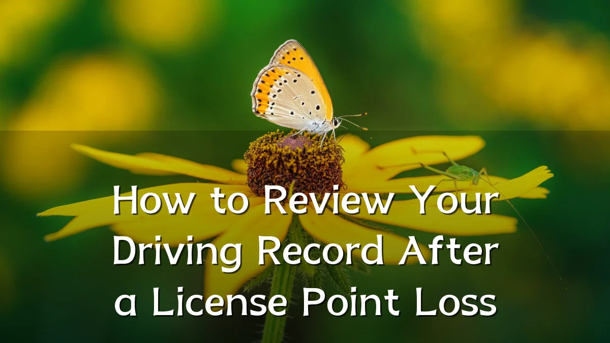How to Review Your Driving Record After a License Point Loss