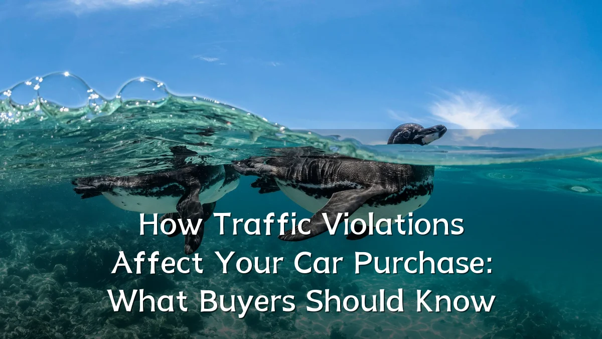 How Traffic Violations Affect Your Car Purchase: What Buyers Should Know