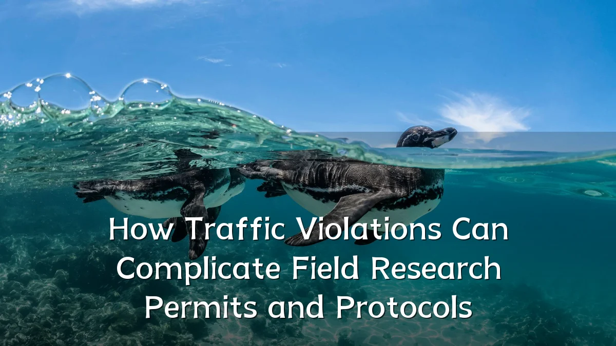 How Traffic Violations Can Complicate Field Research Permits and Protocols