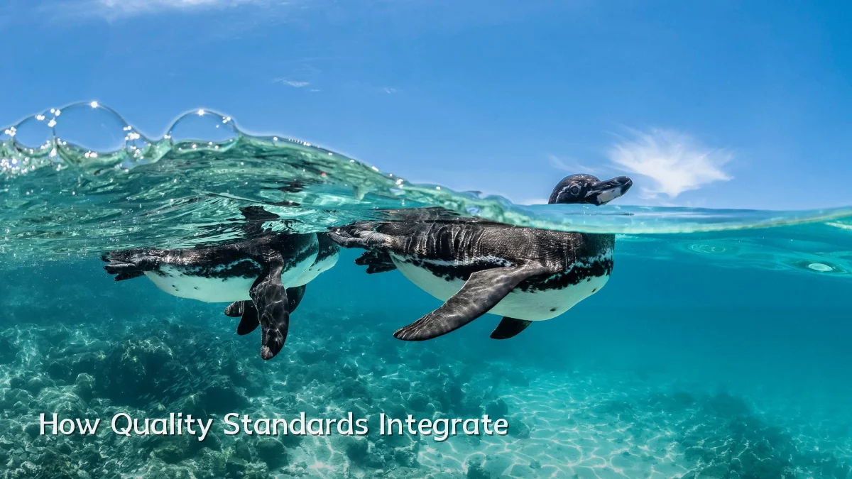 How Quality Standards Integrate