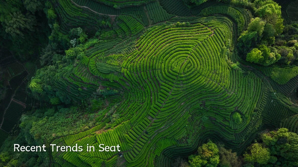 Recent Trends in Seat