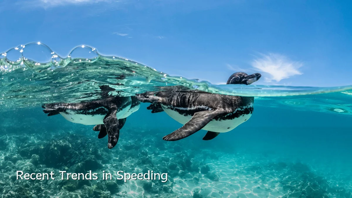 Recent Trends in Speeding