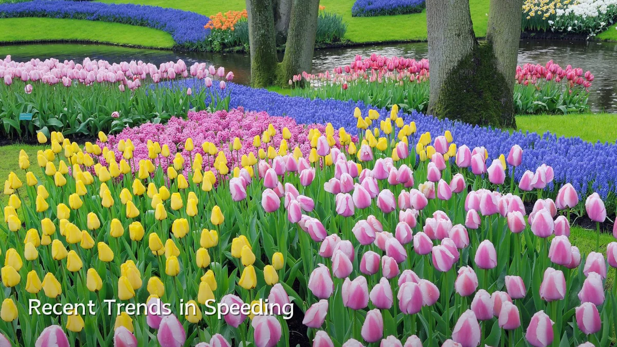 Recent Trends in Speeding