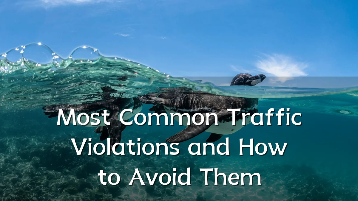 Most Common Traffic Violations and How to Avoid Them