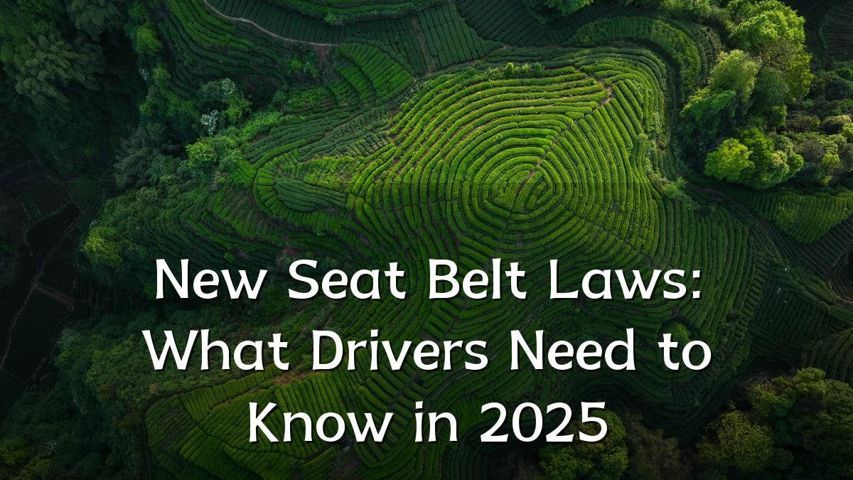 New Seat Belt Laws: What Drivers Need to Know in 2025