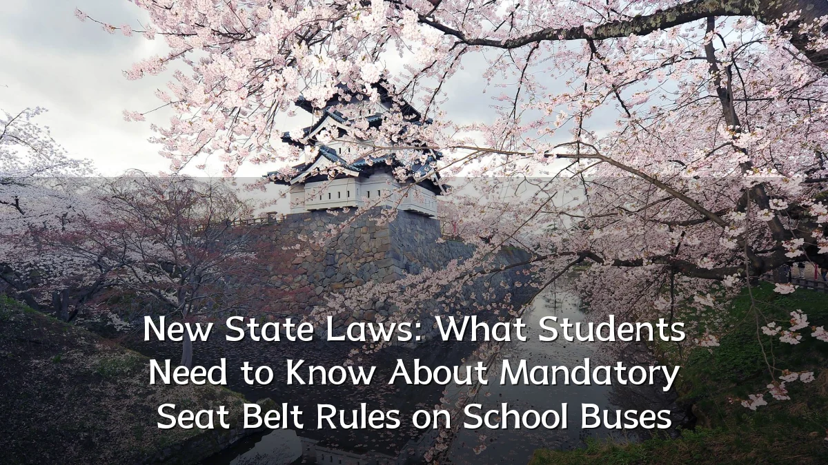 New State Laws: What Students Need to Know About Mandatory Seat Belt Rules on School Buses