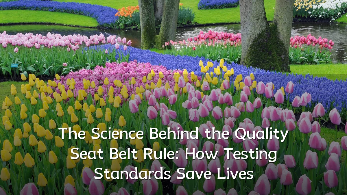 The Science Behind the Quality Seat Belt Rule: How Testing Standards Save Lives
