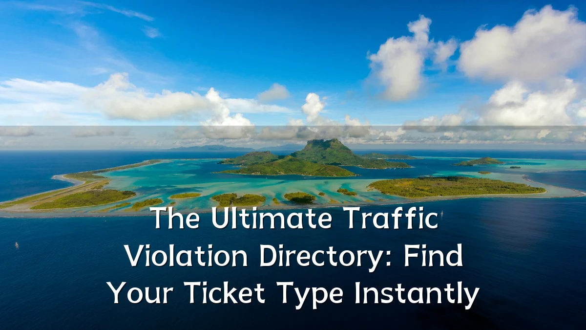 The Ultimate Traffic Violation Directory: Find Your Ticket Type Instantly