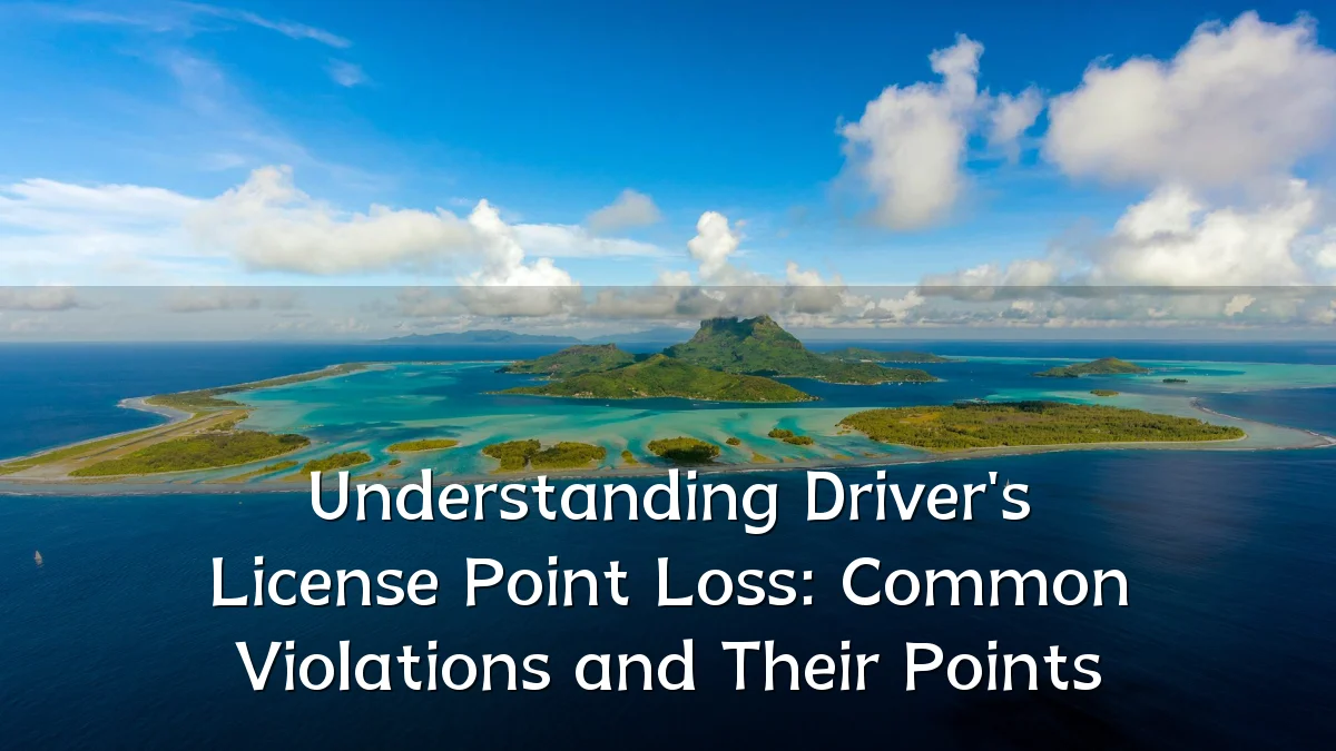 Understanding Driver's License Point Loss: Common Violations and Their Points