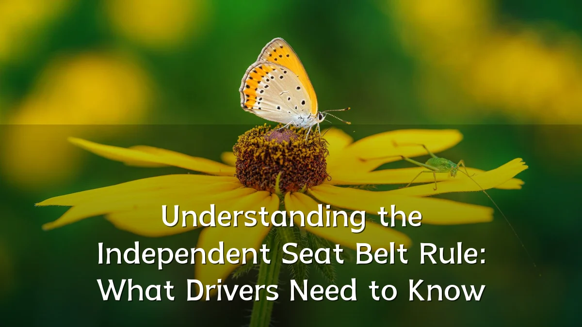 Understanding the Independent Seat Belt Rule: What Drivers Need to Know