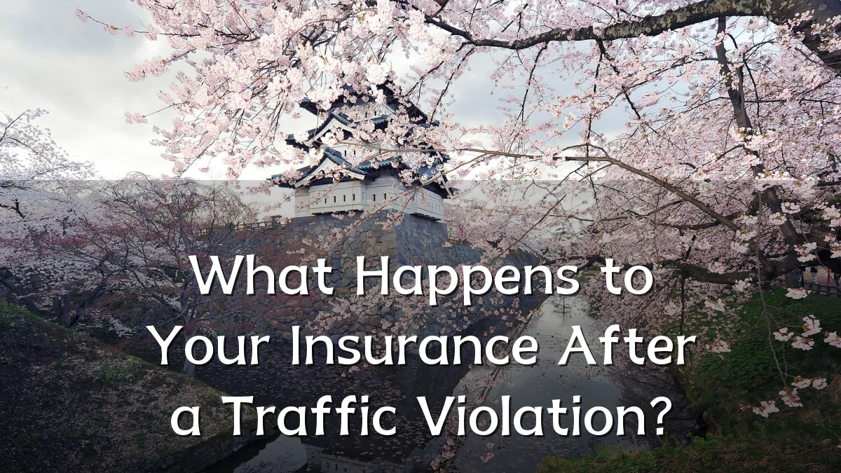 What Happens to Your Insurance After a Traffic Violation?