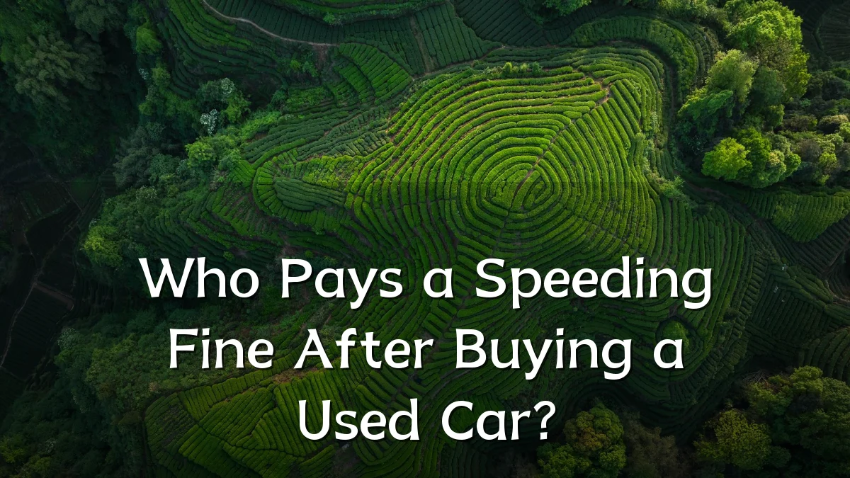 Who Pays a Speeding Fine After Buying a Used Car?