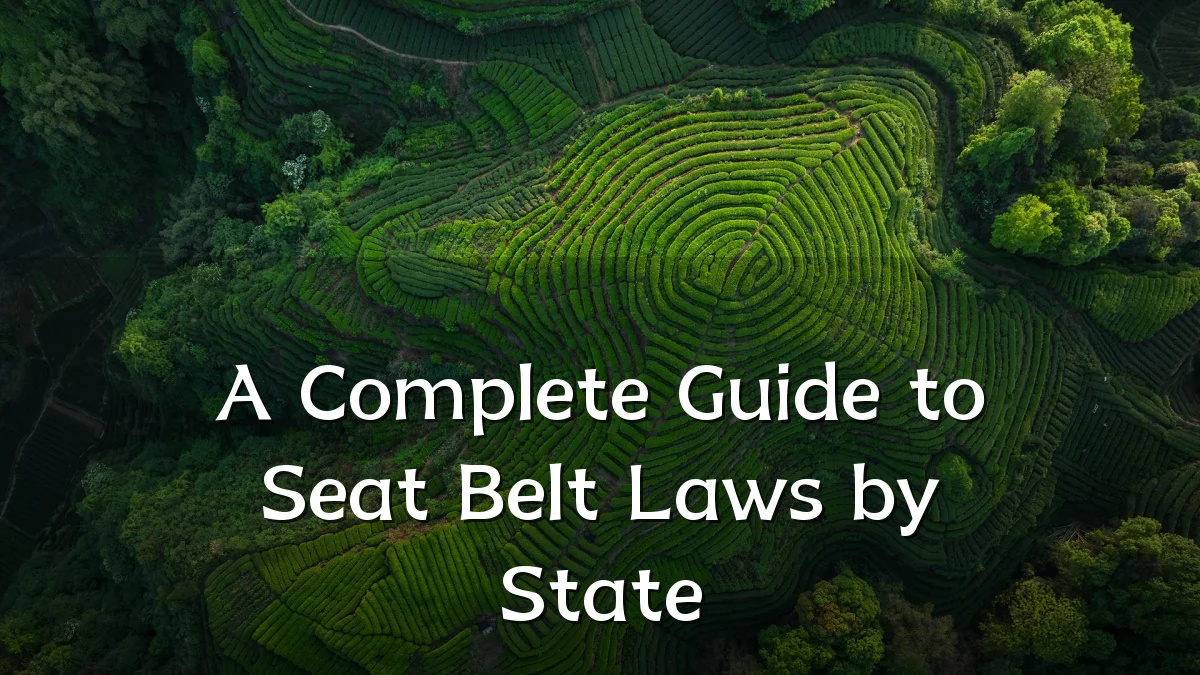 A Complete Guide to Seat Belt Laws by State