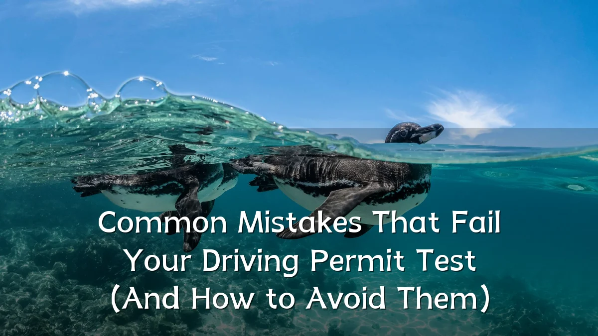 Common Mistakes That Fail Your Driving Permit Test (And How to Avoid Them)