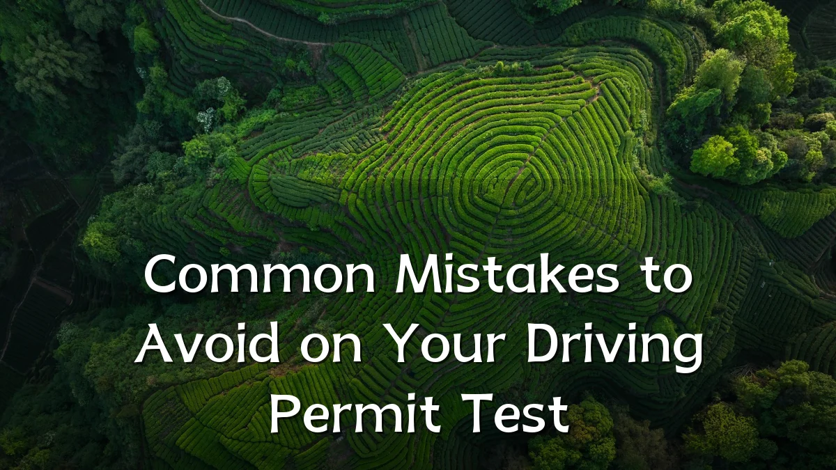 Common Mistakes to Avoid on Your Driving Permit Test