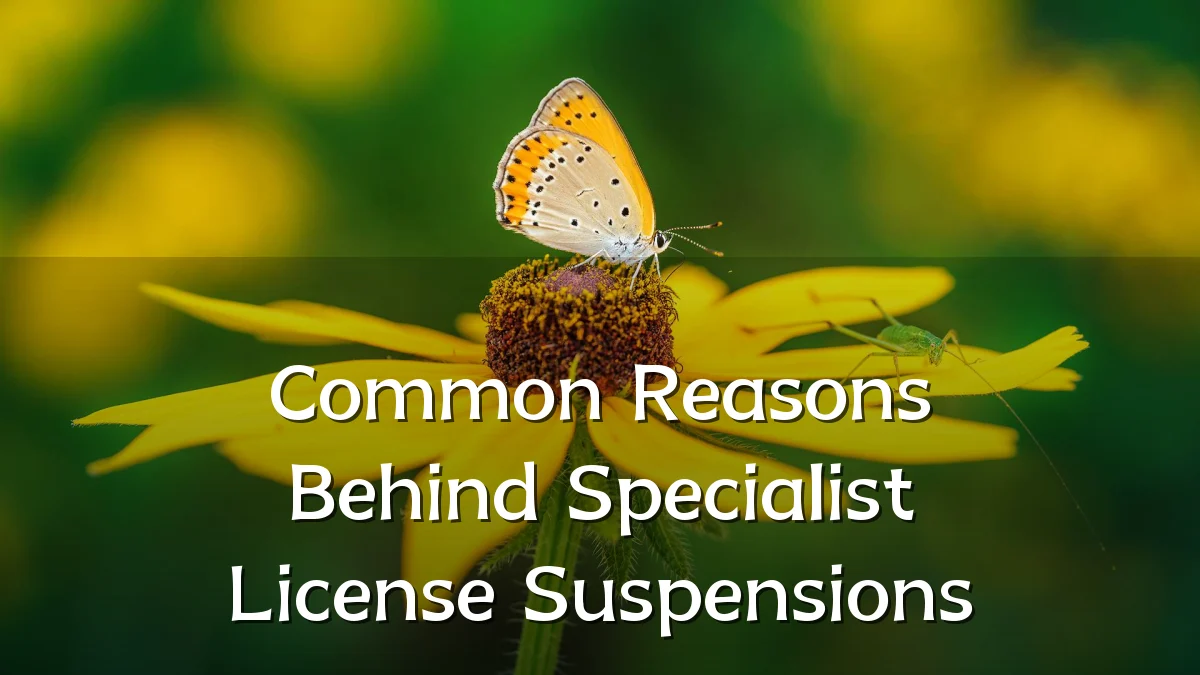Common Reasons Behind Specialist License Suspensions