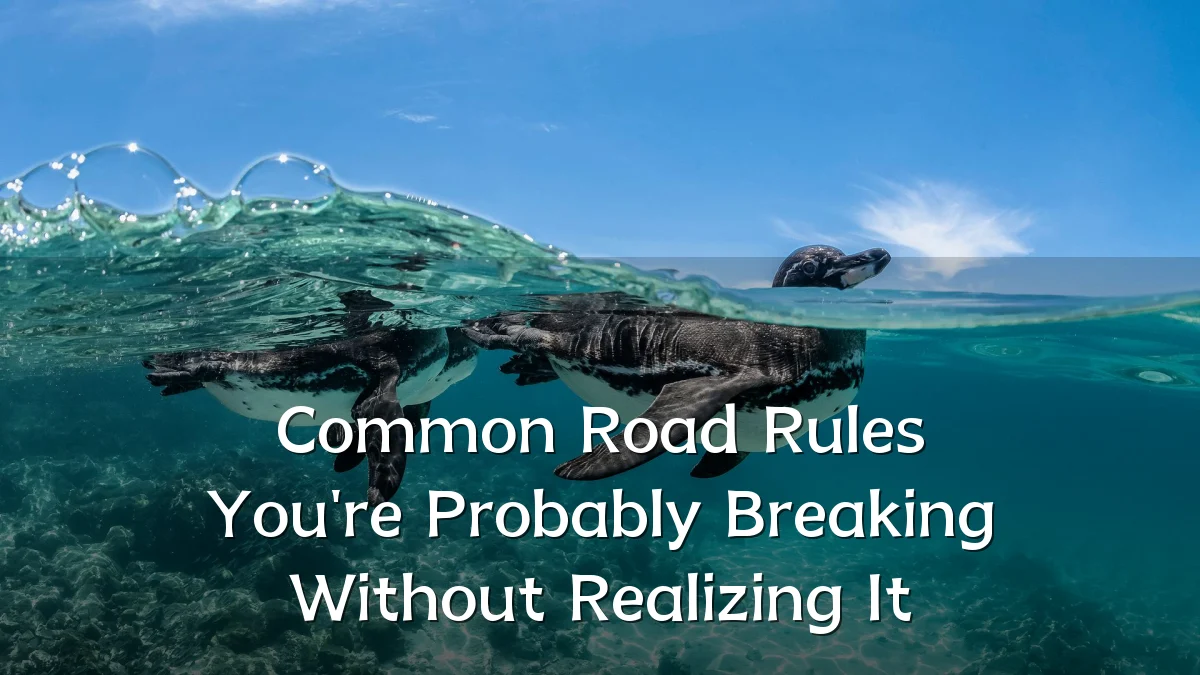 Common Road Rules You're Probably Breaking Without Realizing It