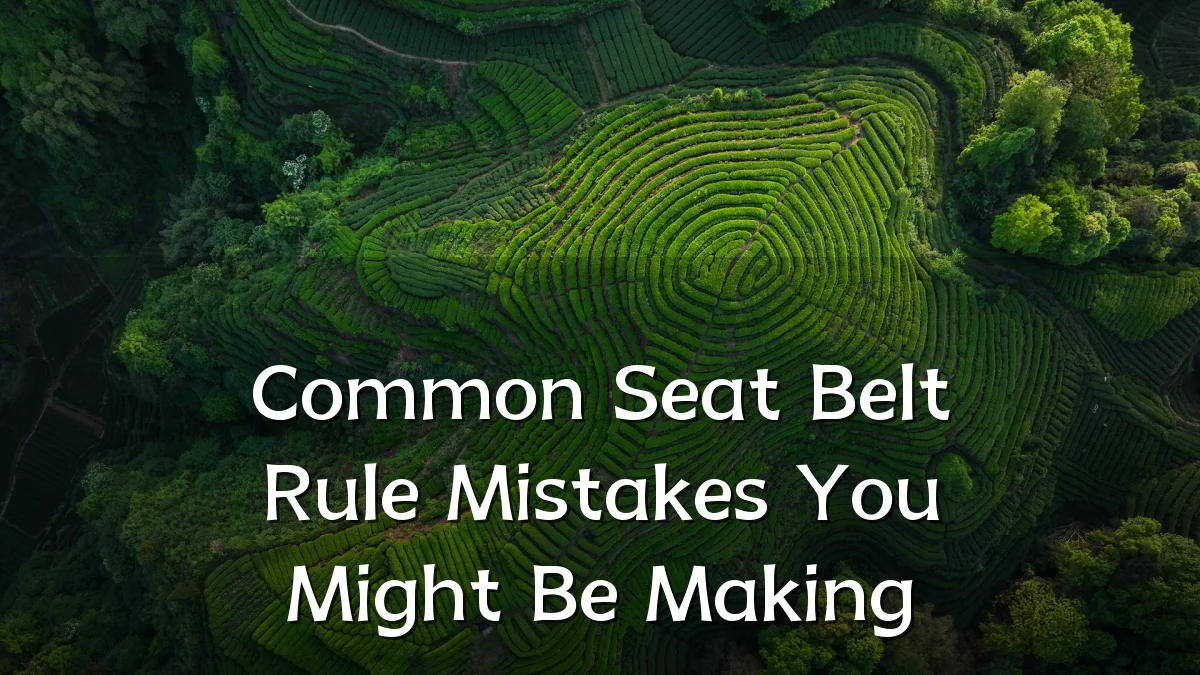 Common Seat Belt Rule Mistakes You Might Be Making