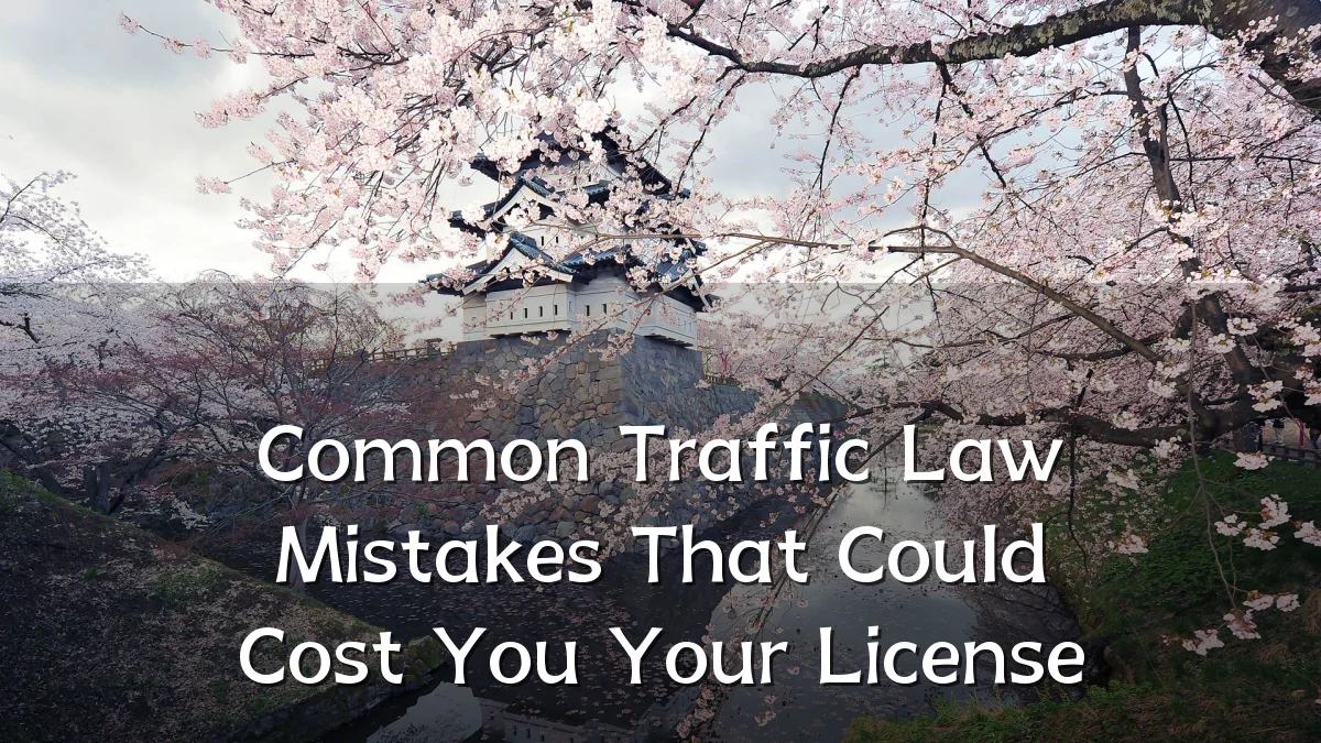 Common Traffic Law Mistakes That Could Cost You Your License