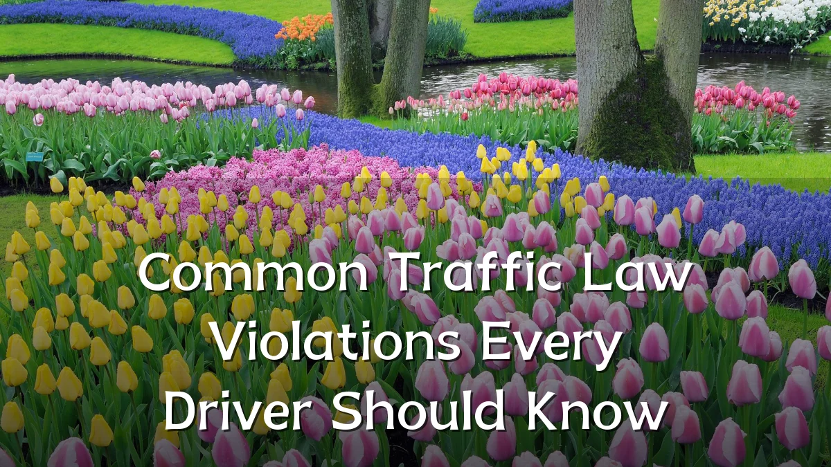 Common Traffic Law Violations Every Driver Should Know