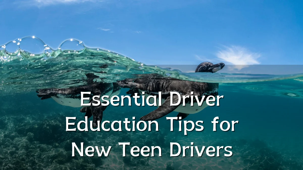 Essential Driver Education Tips for New Teen Drivers