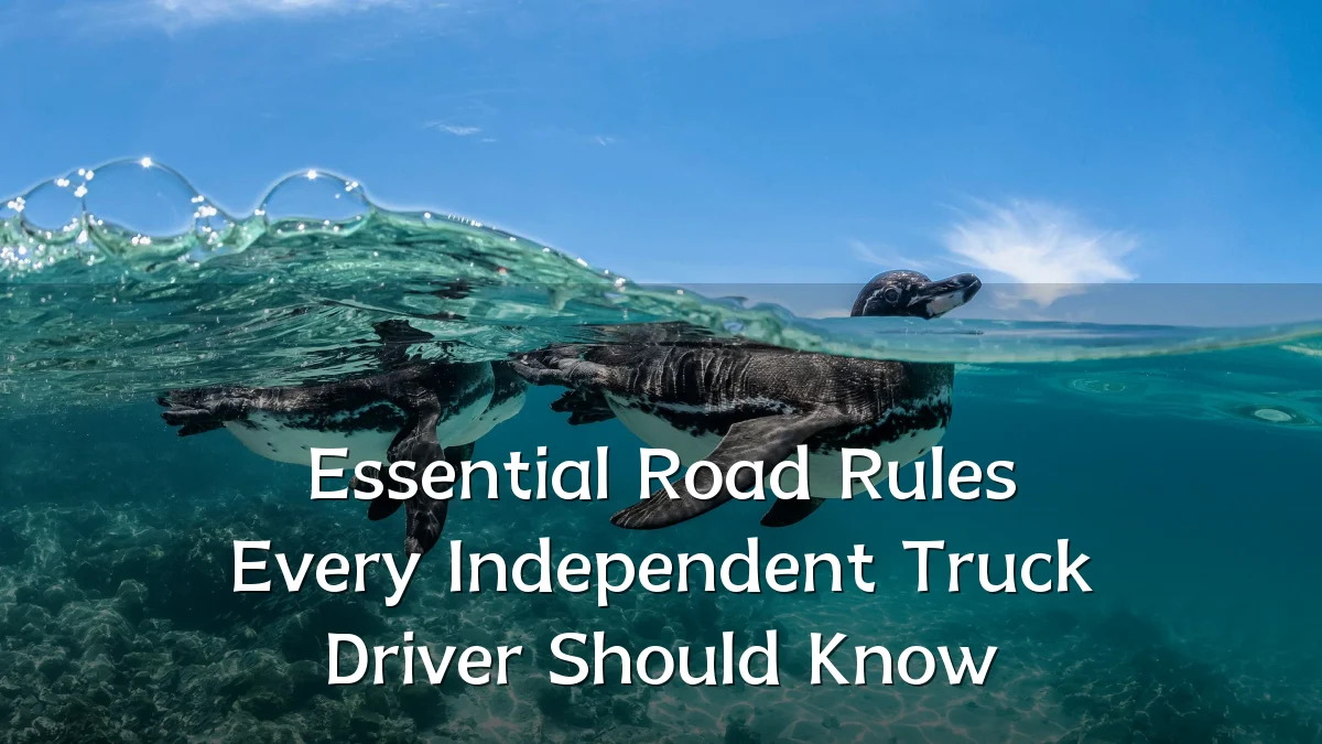 Essential Road Rules Every Independent Truck Driver Should Know