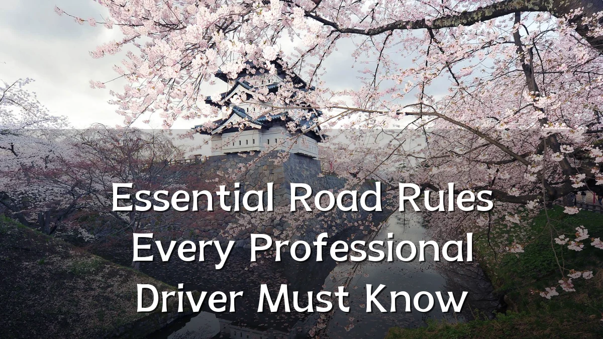 Essential Road Rules Every Professional Driver Must Know