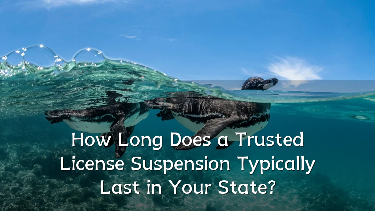 How Long Does a Trusted License Suspension Typically Last in Your State?