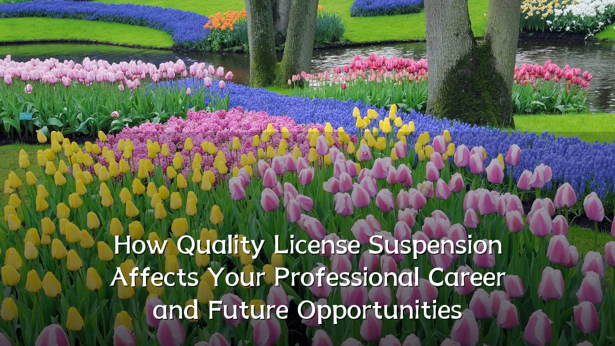 How Quality License Suspension Affects Your Professional Career and Future Opportunities