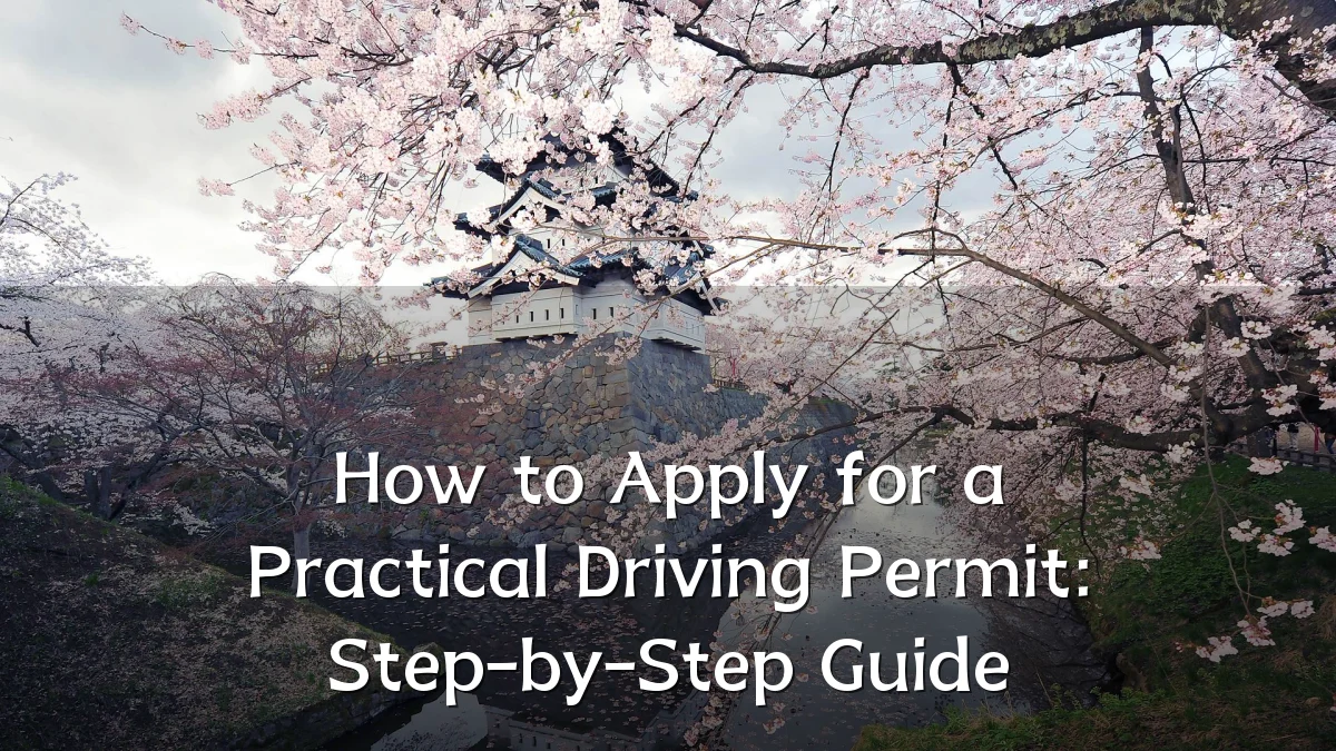 How to Apply for a Practical Driving Permit: Step-by-Step Guide