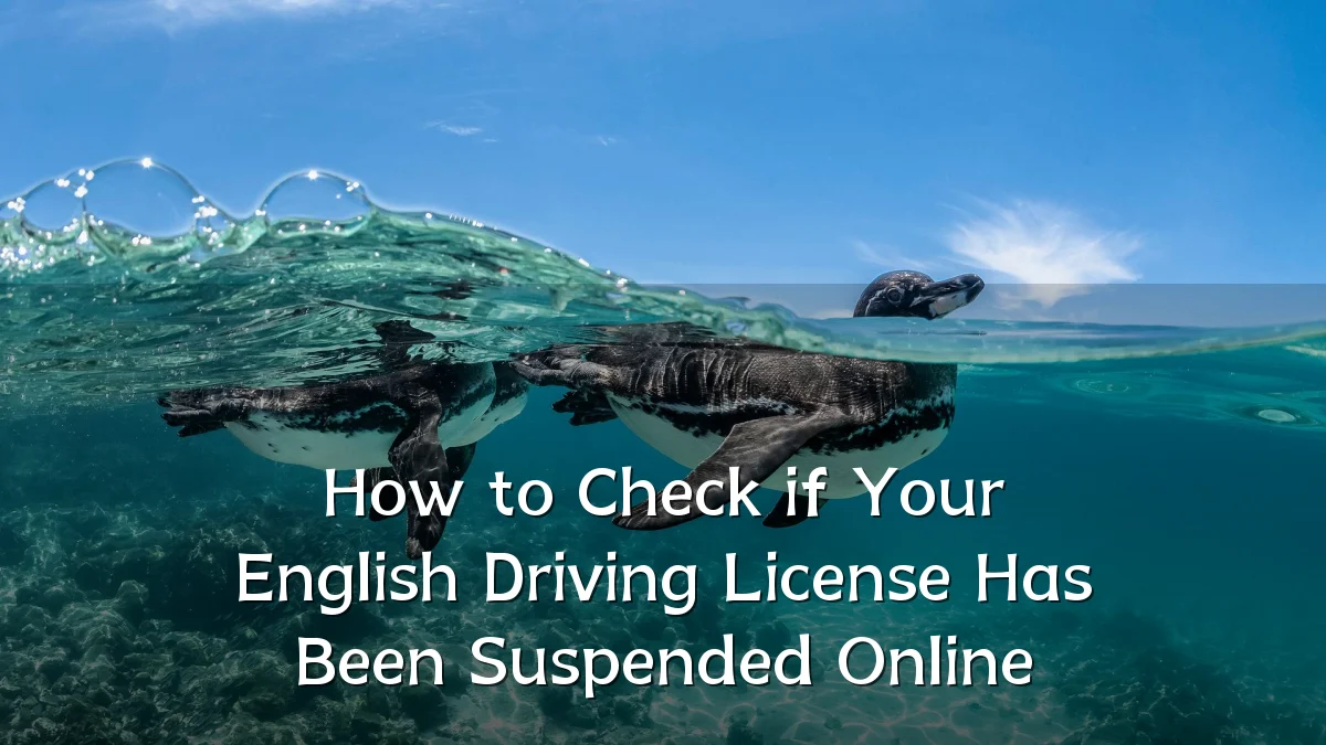 How to Check if Your English Driving License Has Been Suspended Online