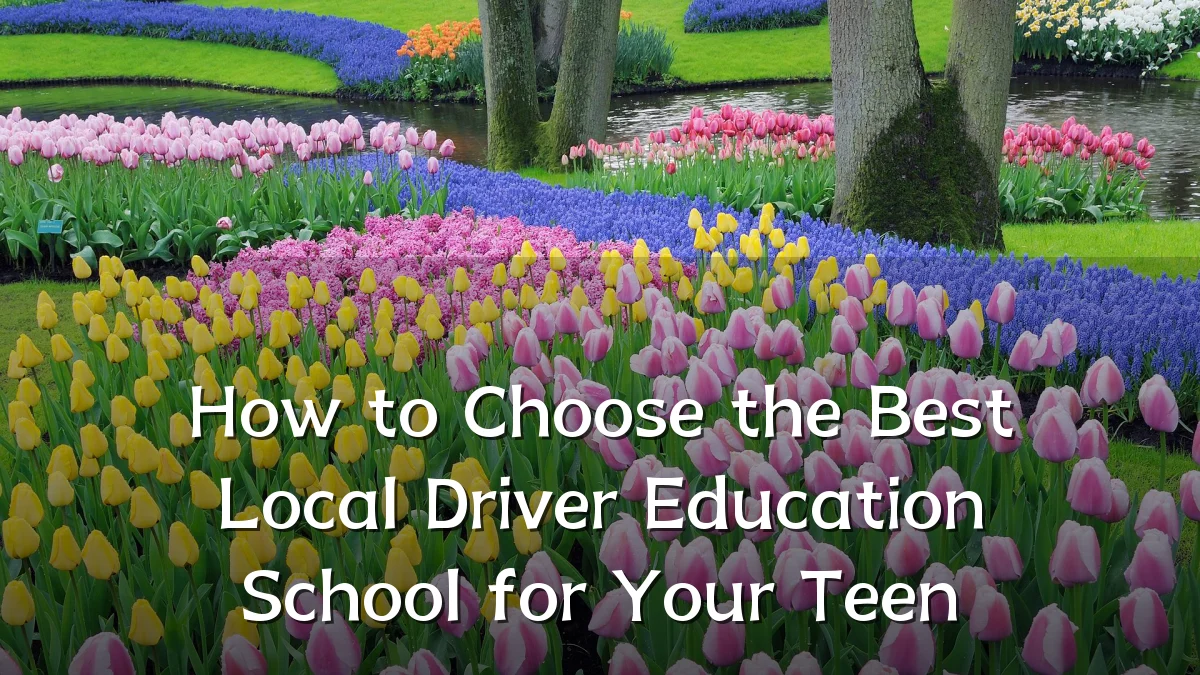 How to Choose the Best Local Driver Education School for Your Teen