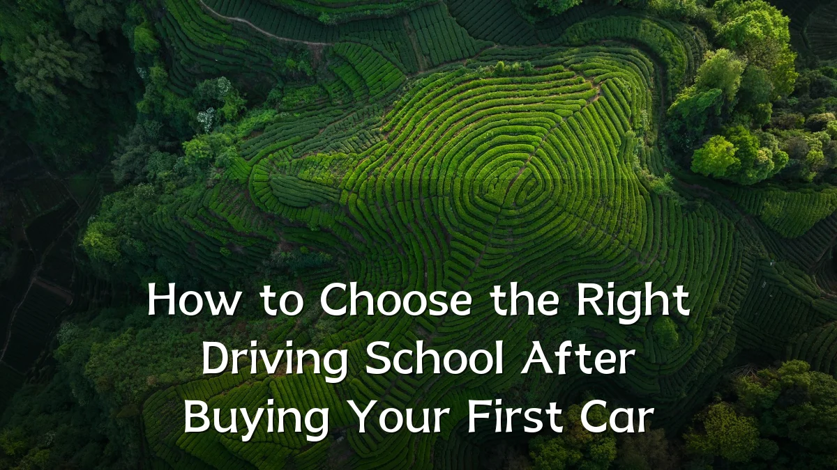 How to Choose the Right Driving School After Buying Your First Car