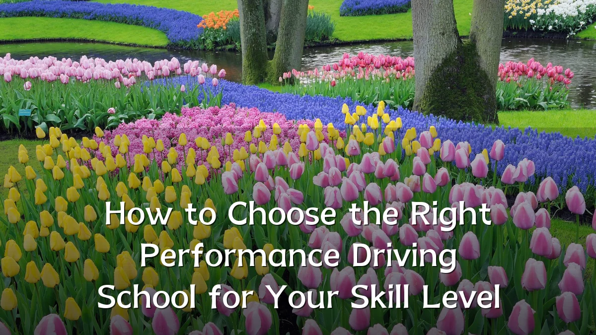 How to Choose the Right Performance Driving School for Your Skill Level