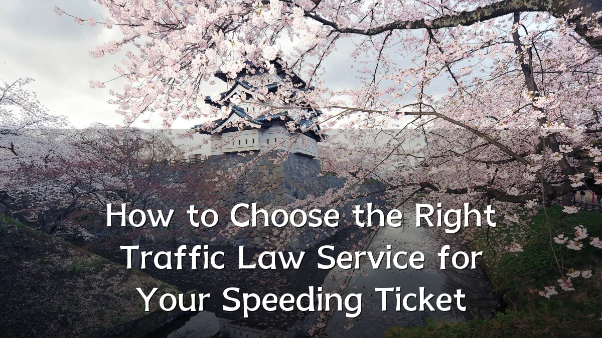 How to Choose the Right Traffic Law Service for Your Speeding Ticket