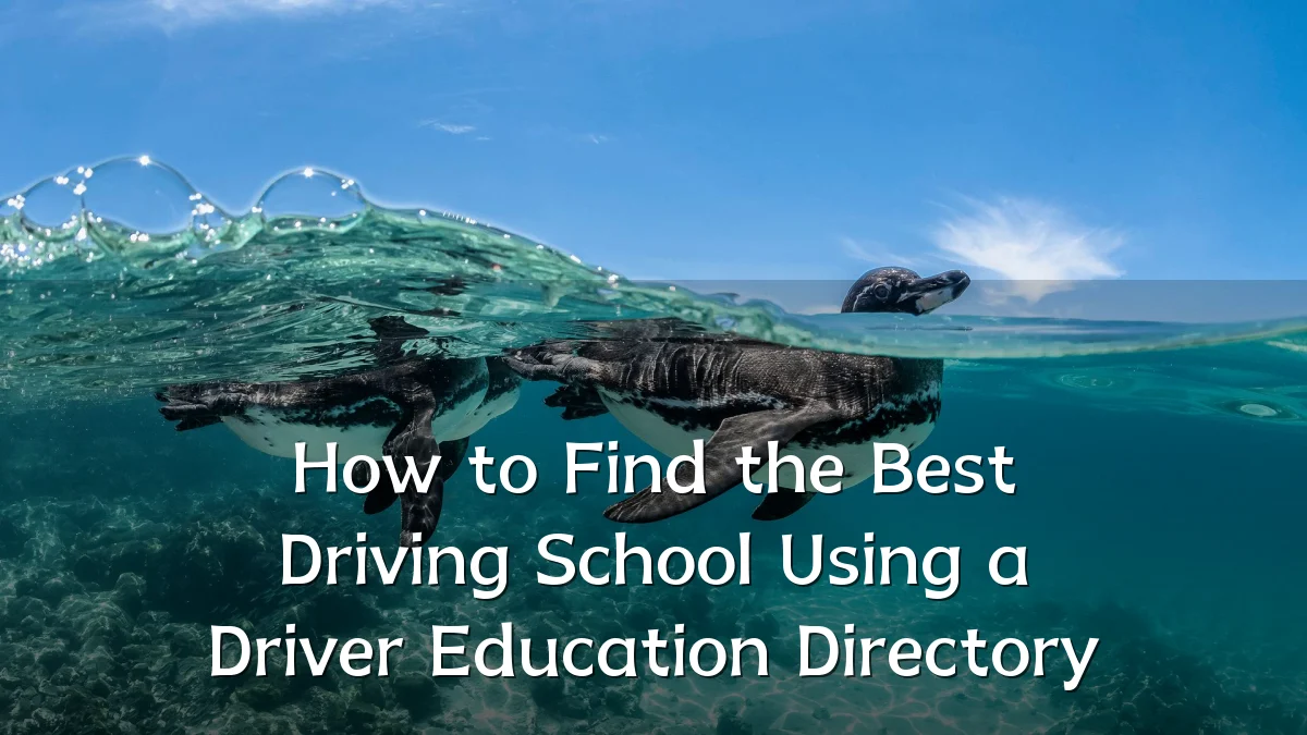 How to Find the Best Driving School Using a Driver Education Directory