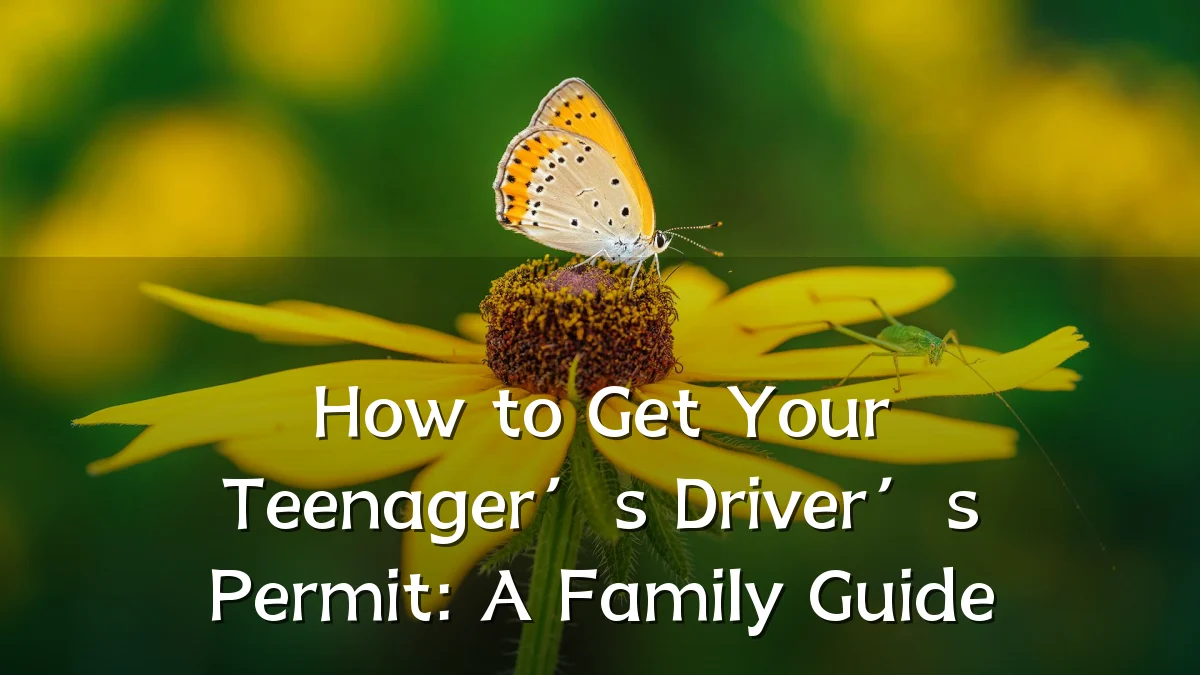 How to Get Your Teenager’s Driver’s Permit: A Family Guide